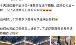 舅舅最新爆料霞蝶,霞蝶背后的神秘力量与传奇故事