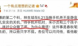 理记最新爆料,揭秘科技巨头背后惊人内幕