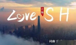 魔都最新爆料新闻视频,揭秘都市热点事件背后的真相