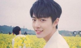 杨紫肖战最新爆料,揭秘幕后故事，精彩瞬间抢先看