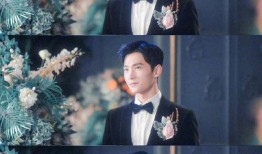 丁真全网最新爆料,揭秘全网热议背后的真实故事